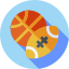 Sport ikonra